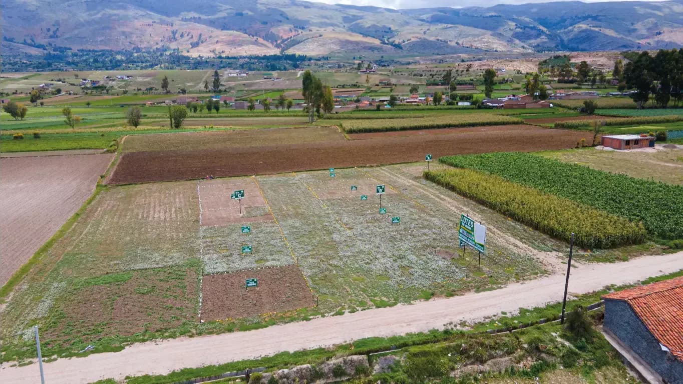 La Huerta Vista Alegre — imagen referencial